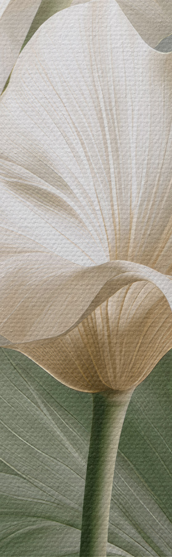 Tableau Feuilles délicates s50868
