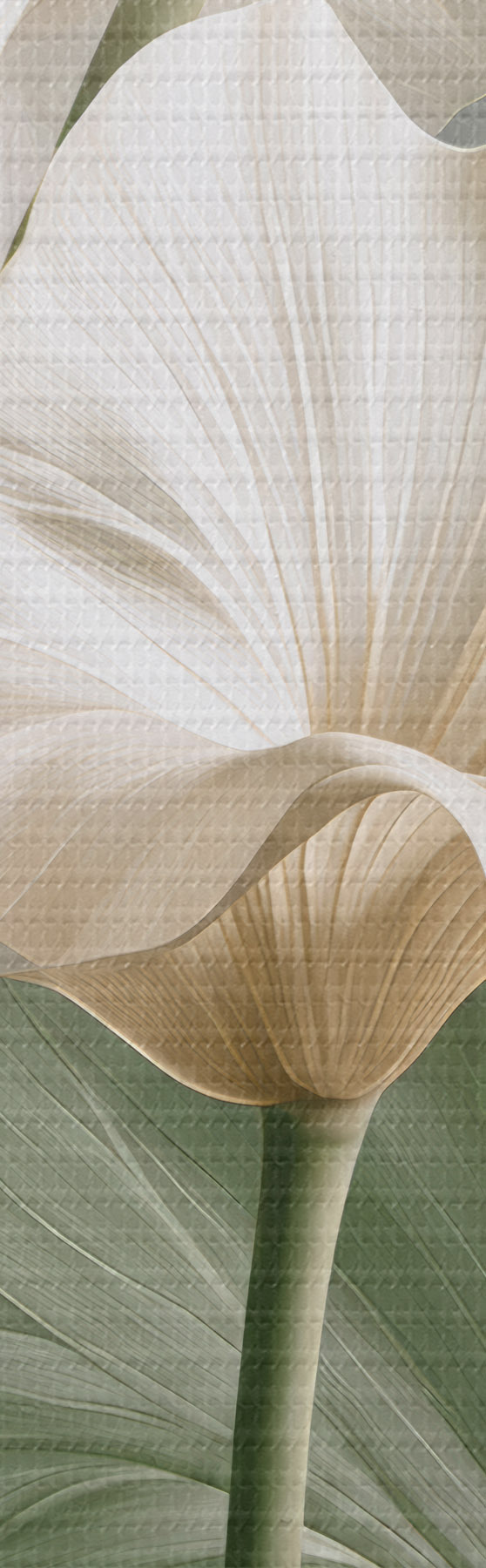Tableau Feuilles délicates s50868