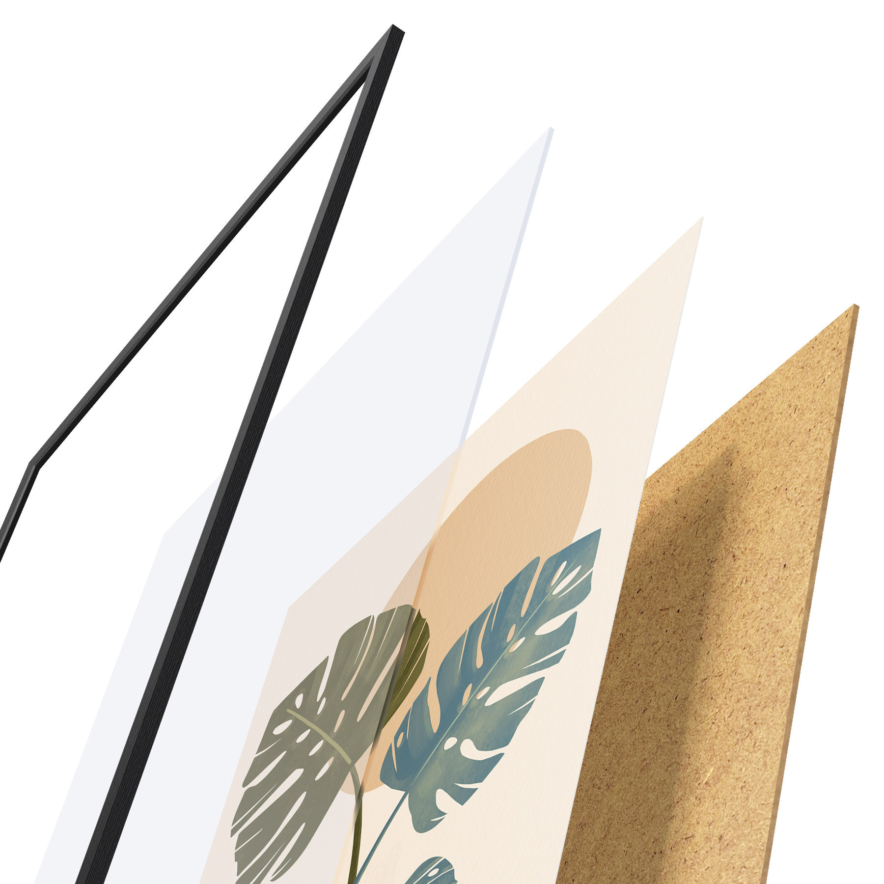 Poster Feuilles tropicales baignées par une douce lumière du soleil f50733