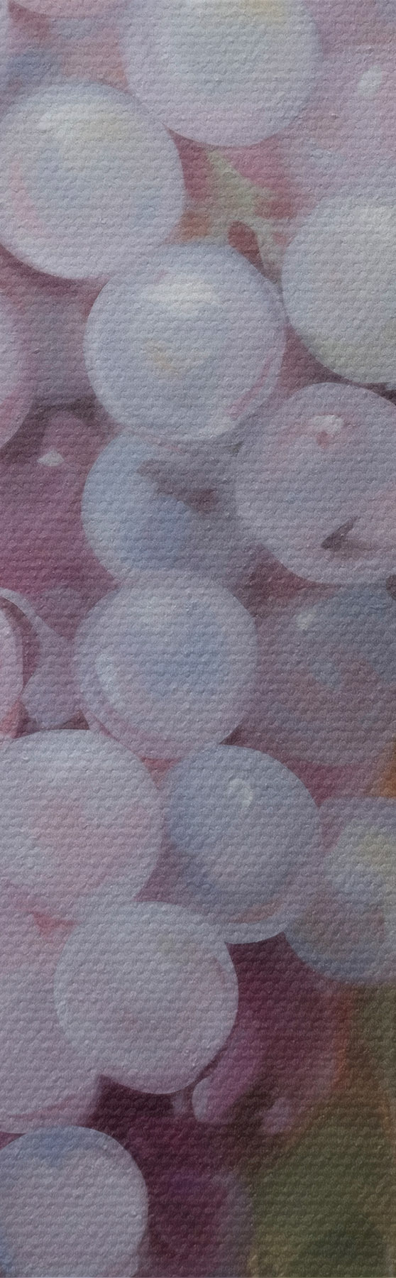 Tableau Des raisins, imitation d'un tableau s51124