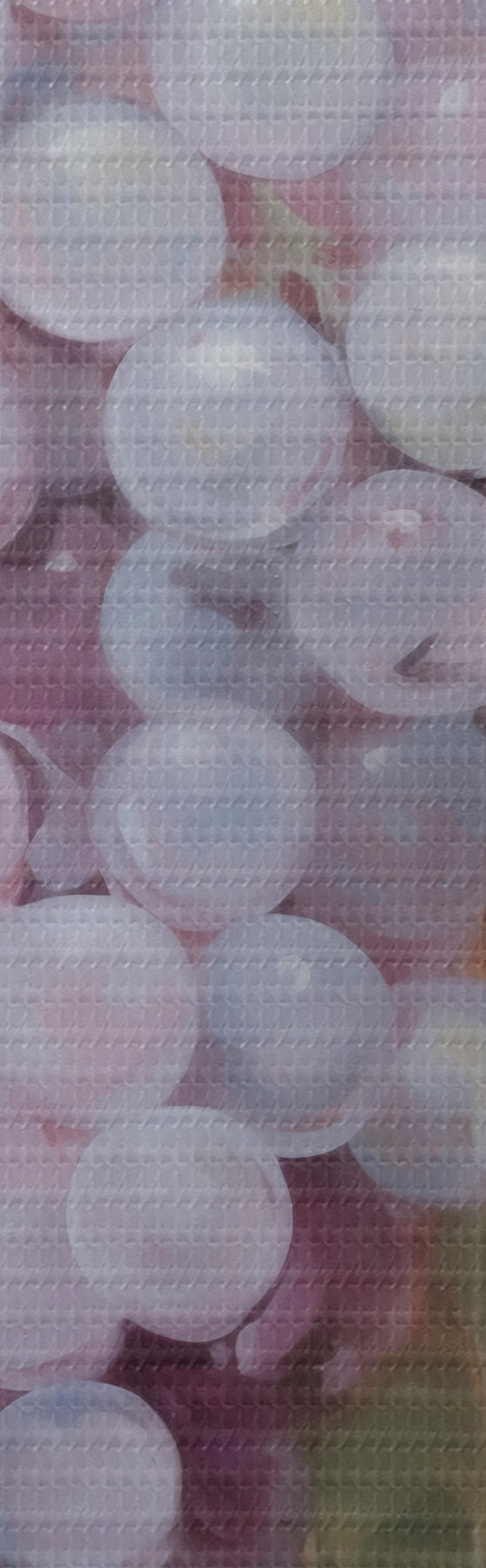 Tableau Des raisins, imitation d'un tableau s51124
