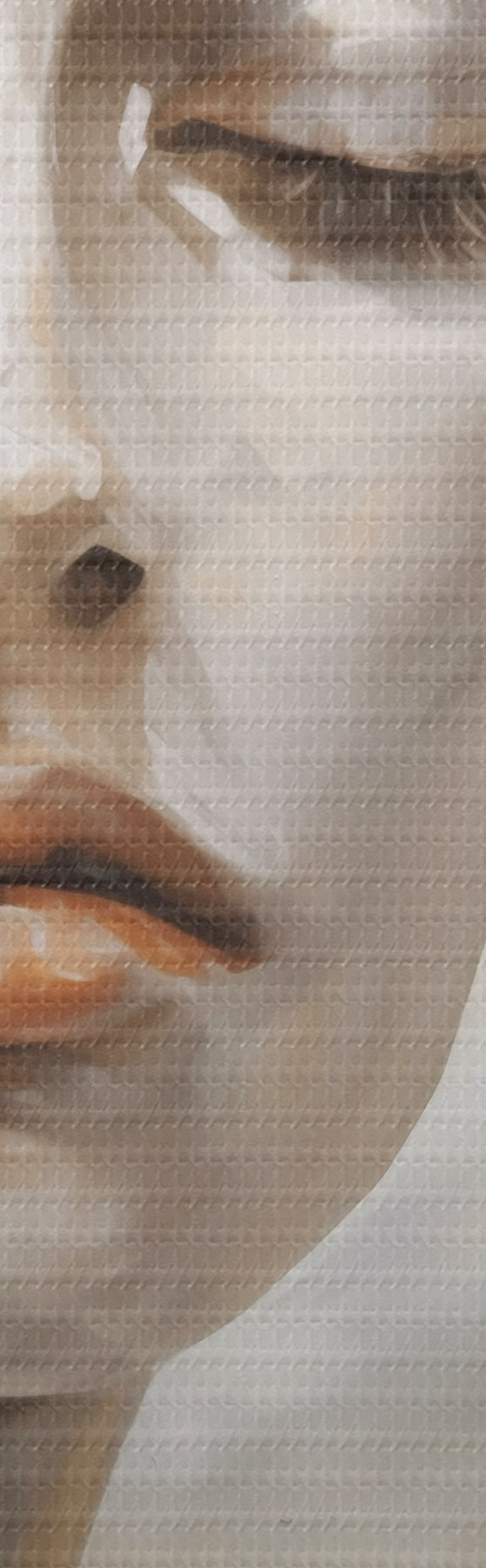 Tableau Portrait abstrait, imitation d'un tableau s51129