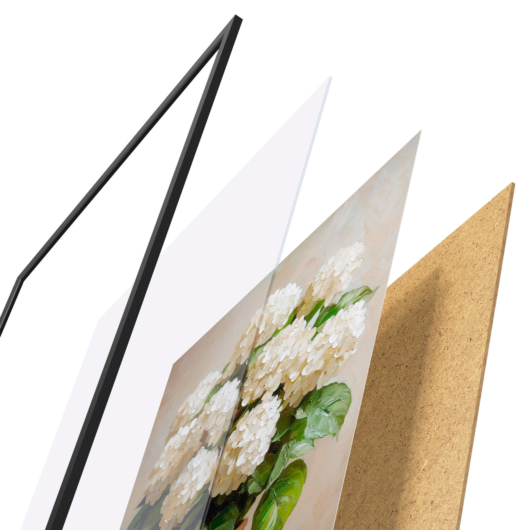 Poster Hortensias blancs f51062