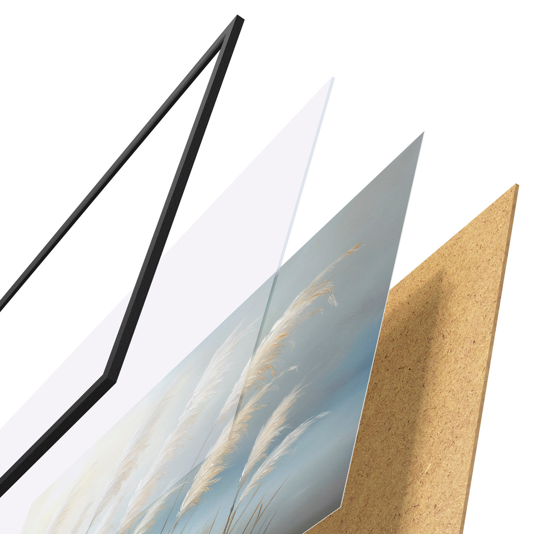 Poster Roseaux f51071