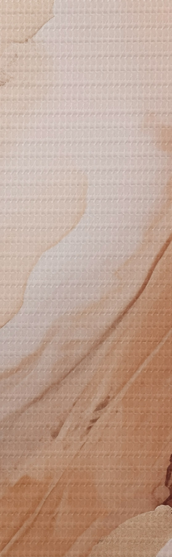 Tableau Couches de nacre beige à la texture fine s51084