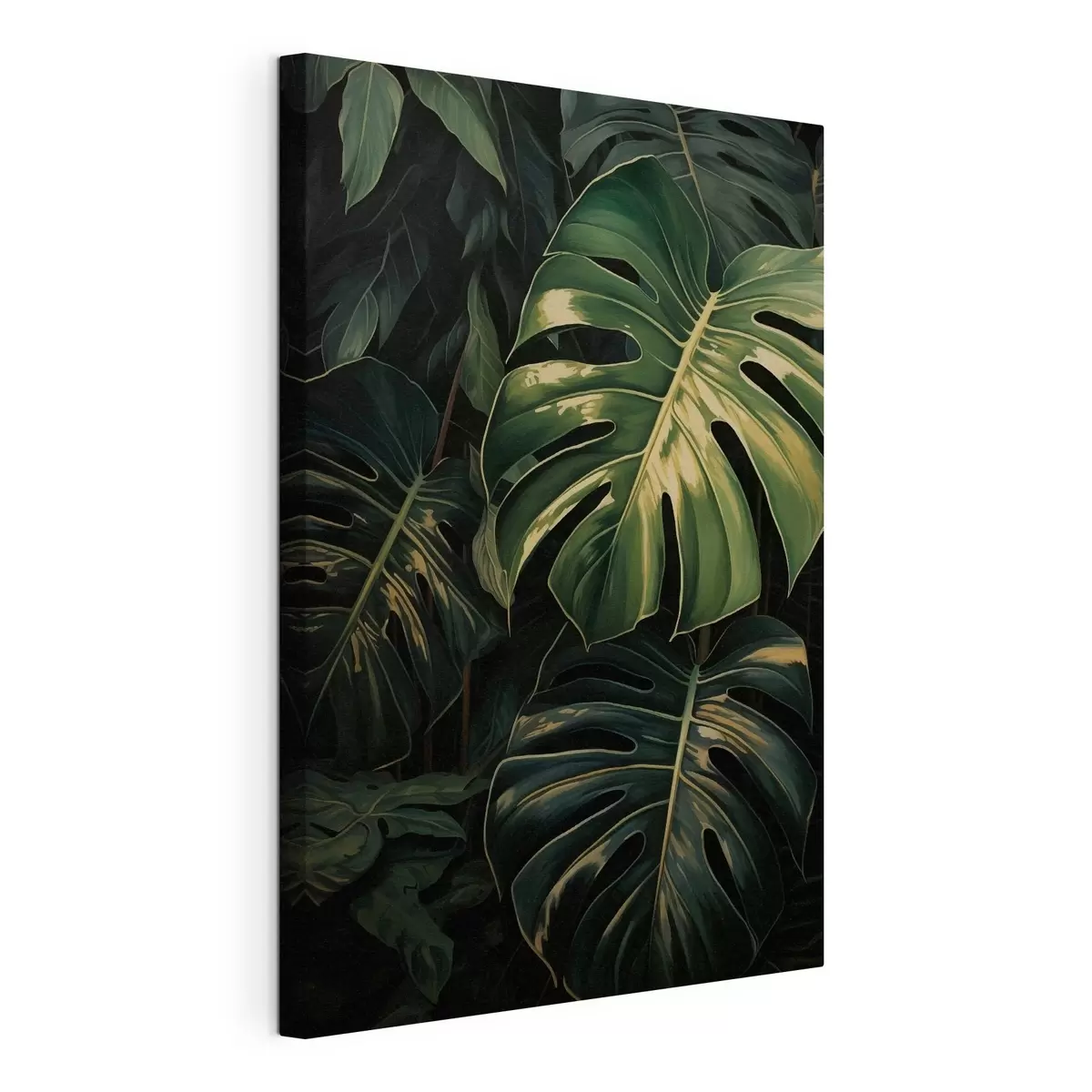 Tableau Feuilles brillantes de monstera dans les tropiques sombres s51091