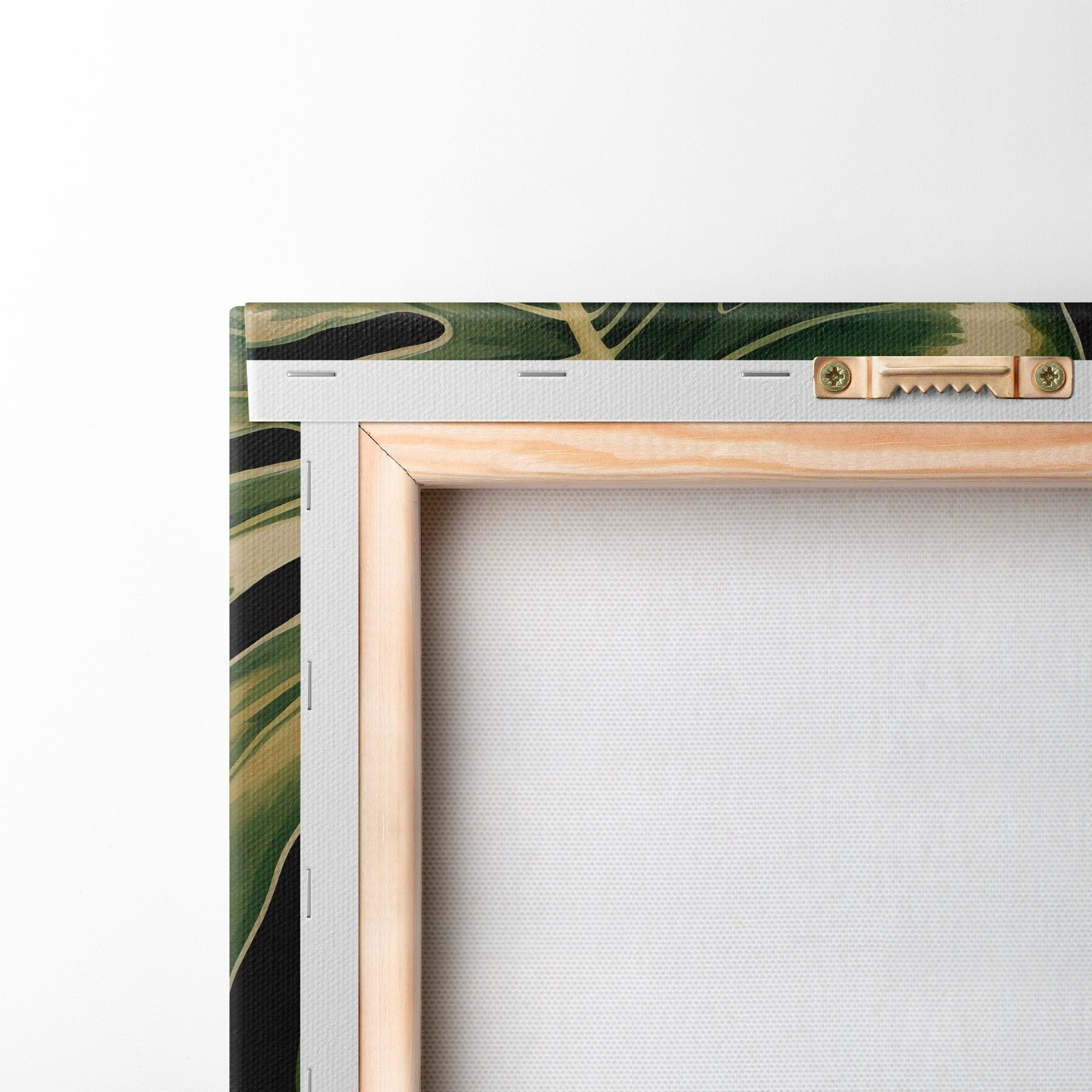 Tableau Feuilles brillantes de monstera dans les tropiques sombres s51091