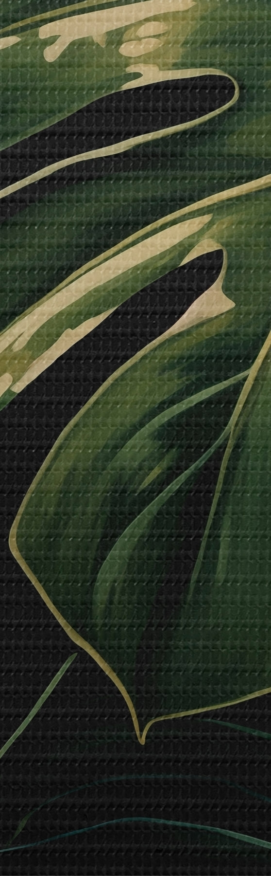 Tableau Feuilles brillantes de monstera dans les tropiques sombres s51091
