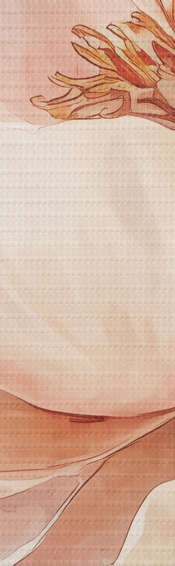 Tableau Fleur rose-beige à l'aquarelle s51098