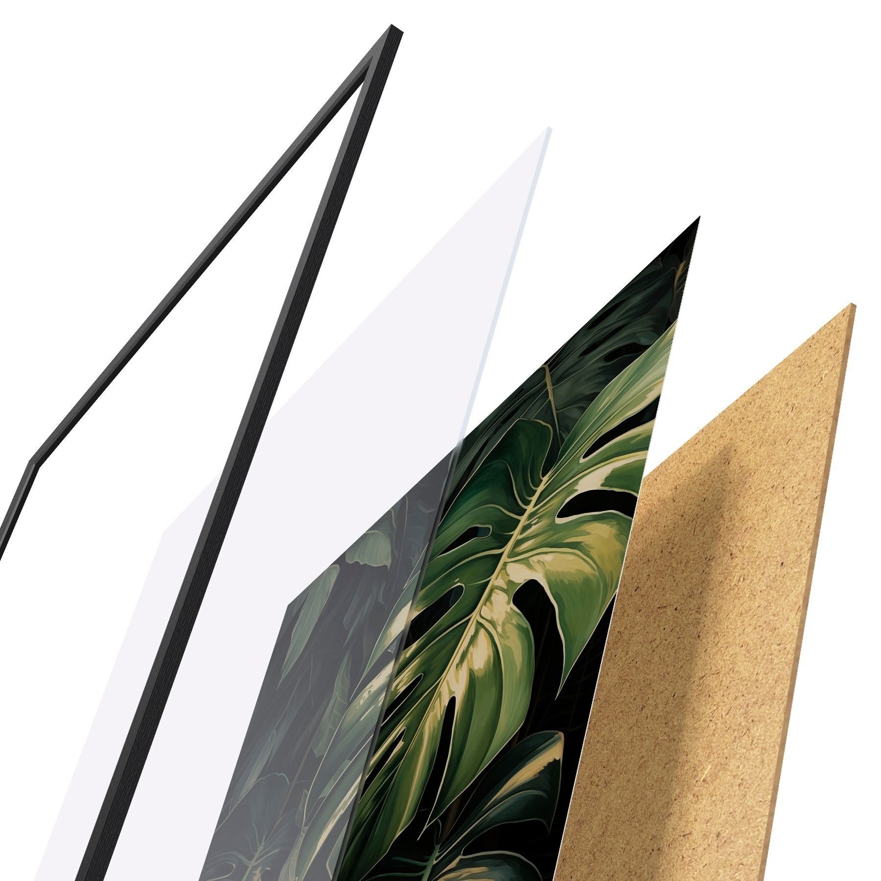 Poster Feuilles brillantes de monstera dans les tropiques sombres f51091