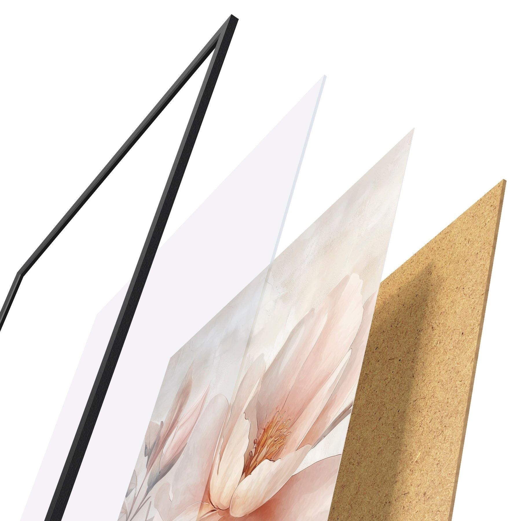 Poster Pivoine en poudre avec bouton f51097