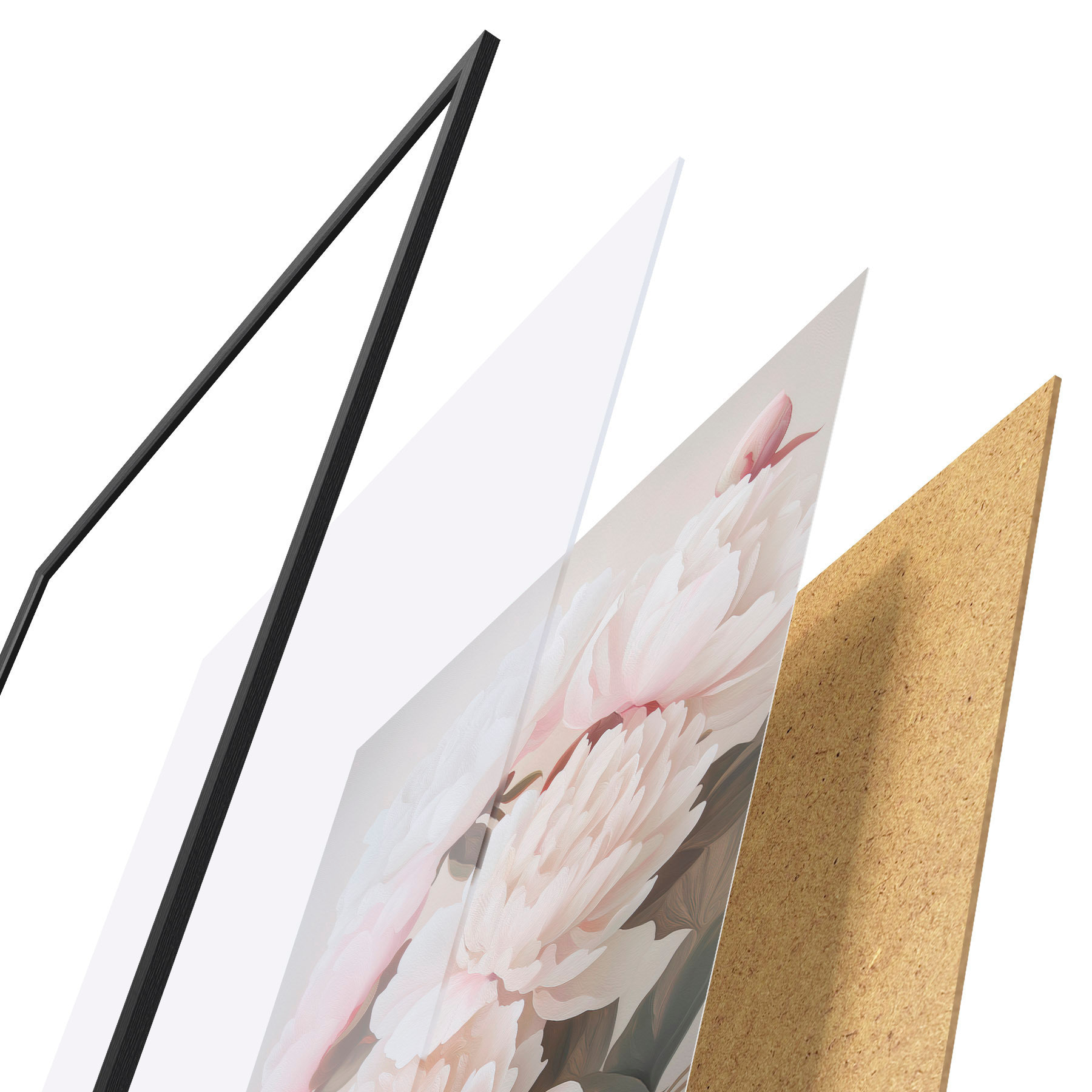 Poster Pivoines f51153