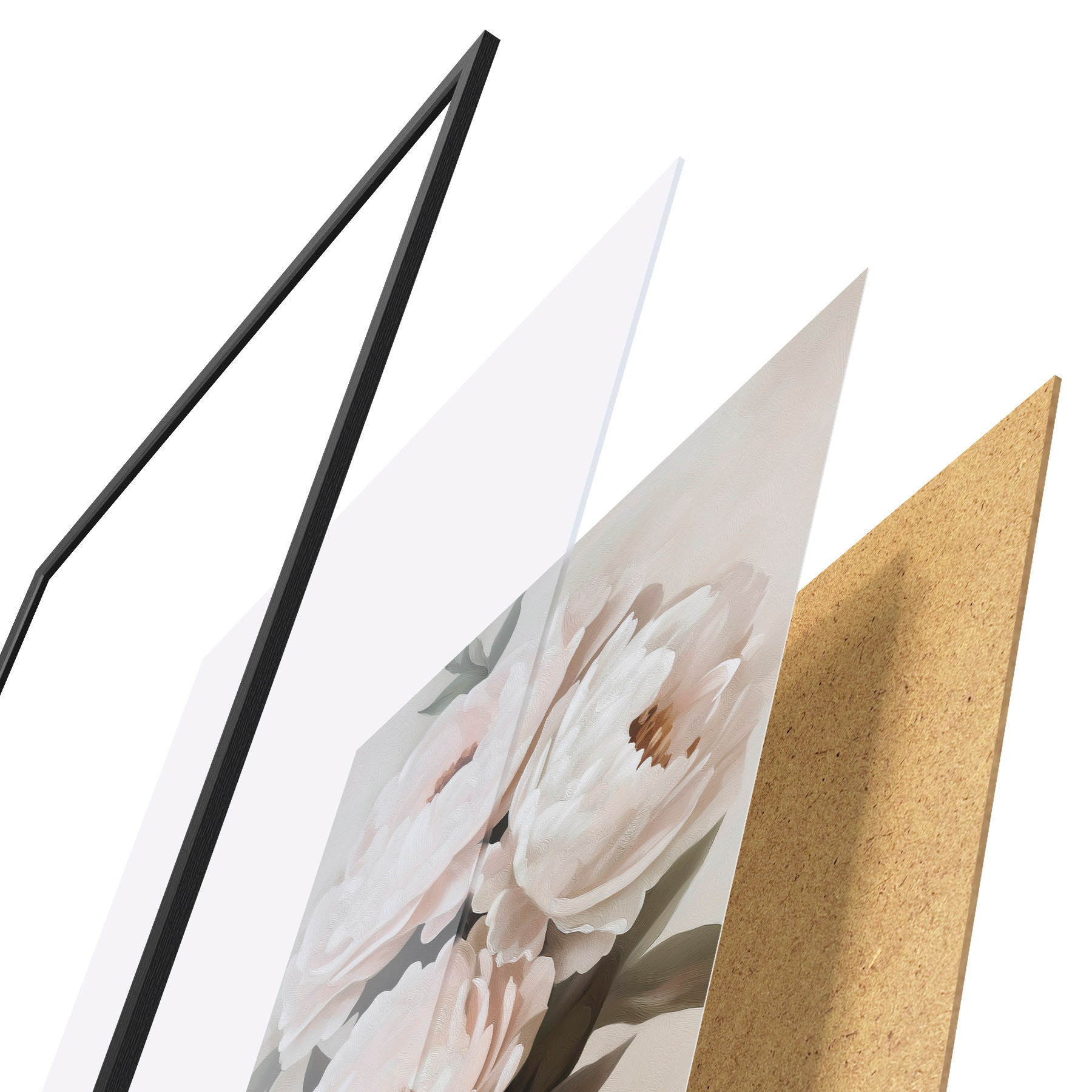 Poster Pivoines f51154