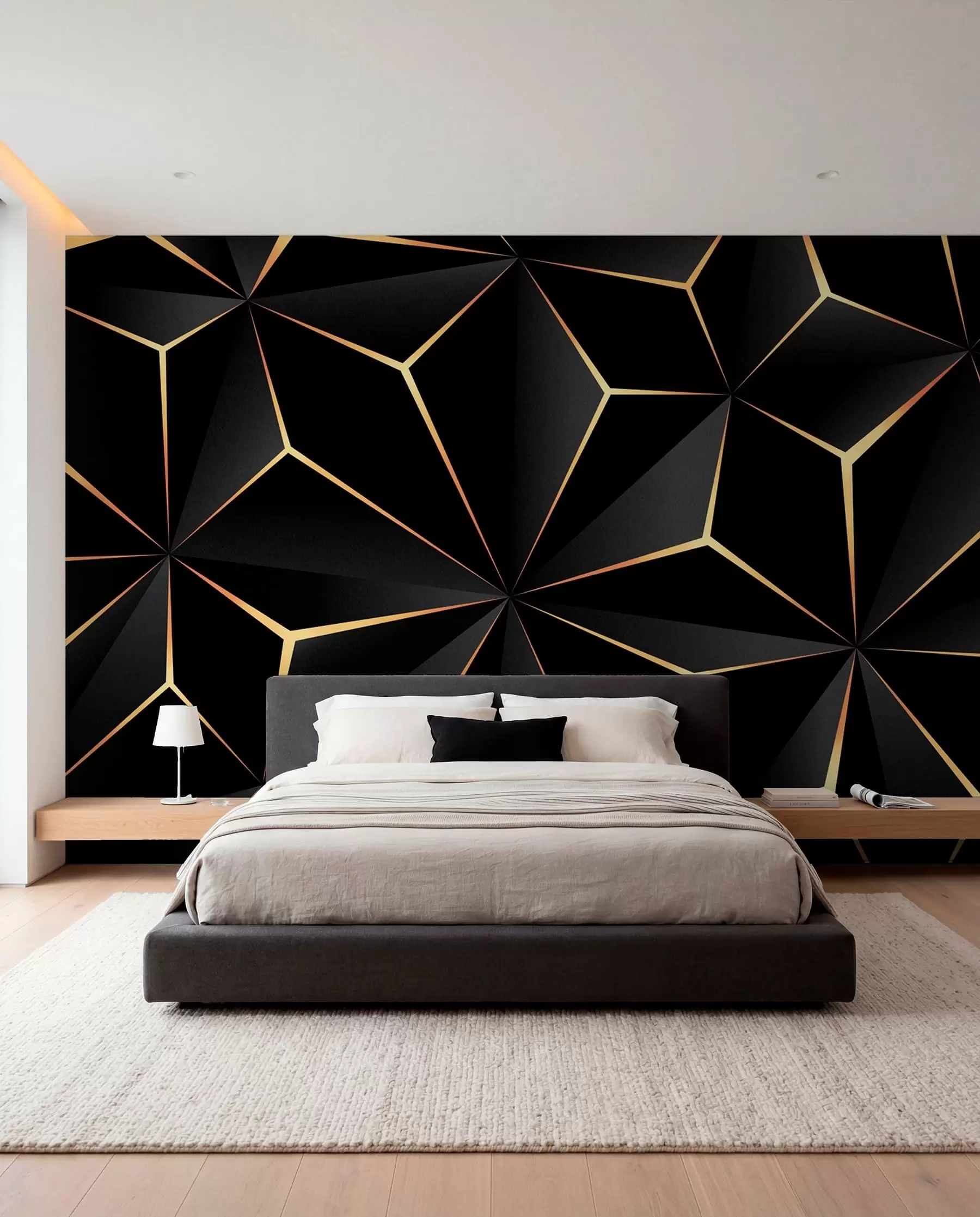 Papier peint Triangle noir u72104