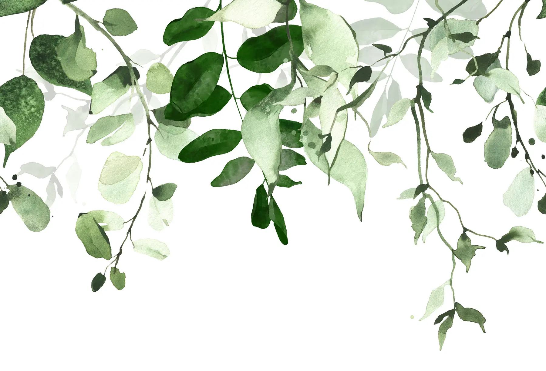Papier peint Feuilles et branches aquarelles u72397