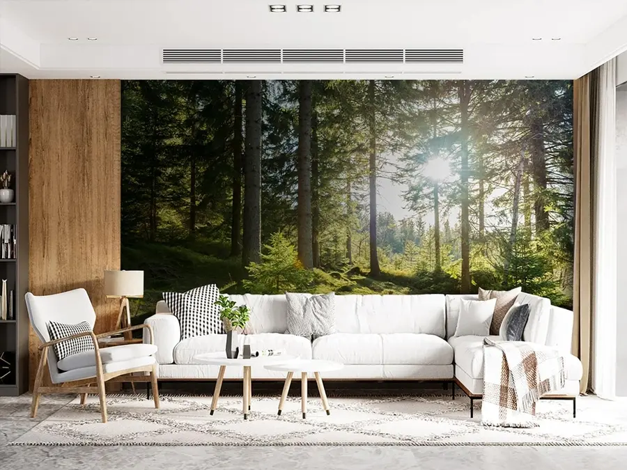 Papier peint Montagnes de Carkonoshe en Pologne u80015