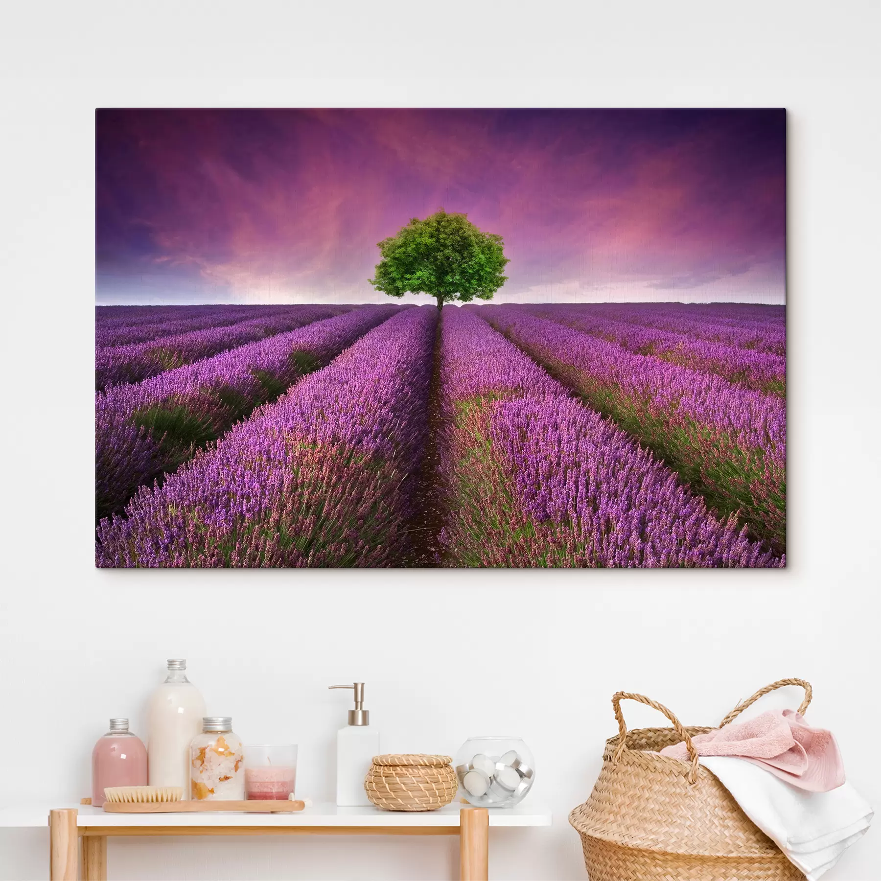 Papier peint Fleur, ciel et plante s05061