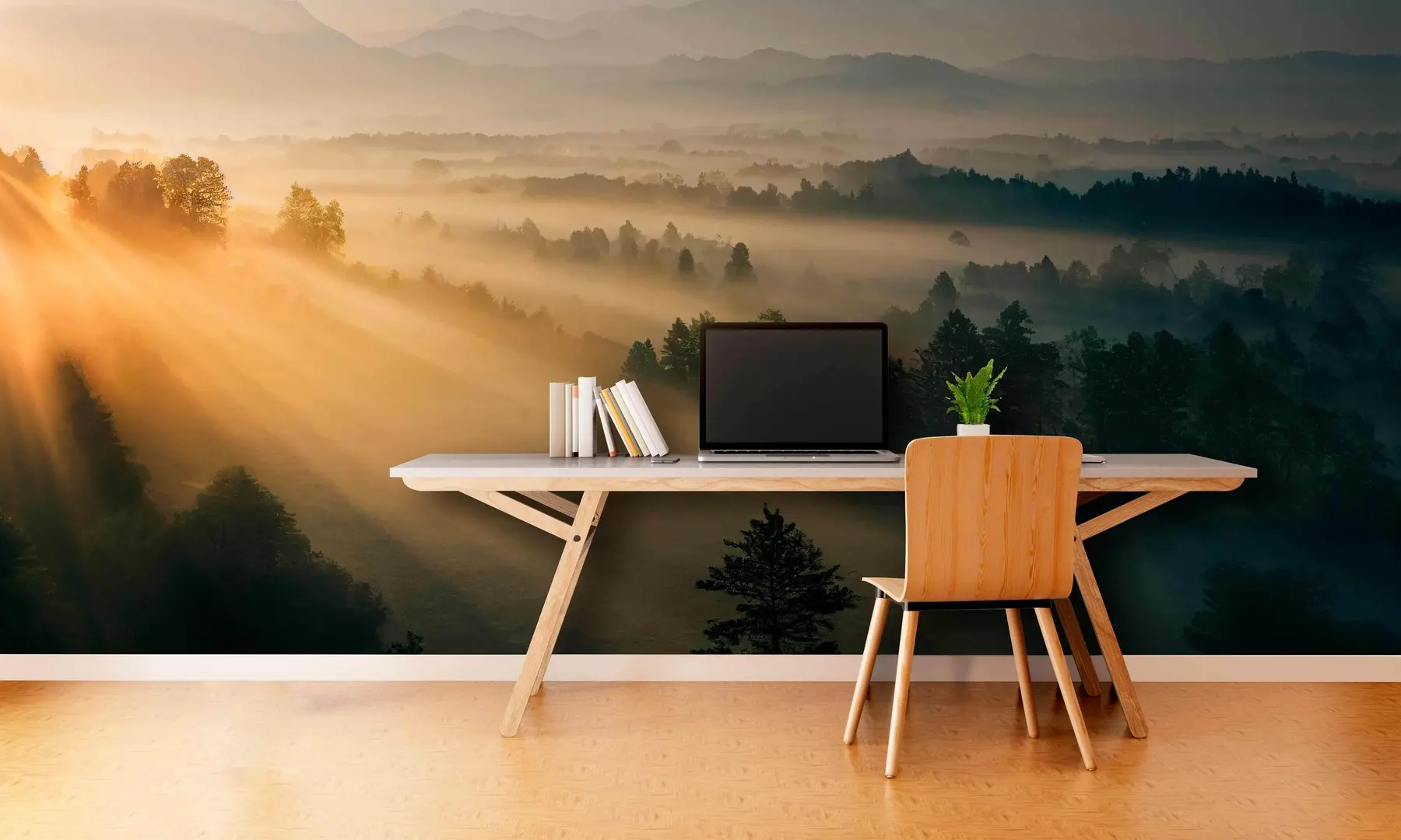 Papier peint Rayons du soleil et de la forêt brumeuse u73864