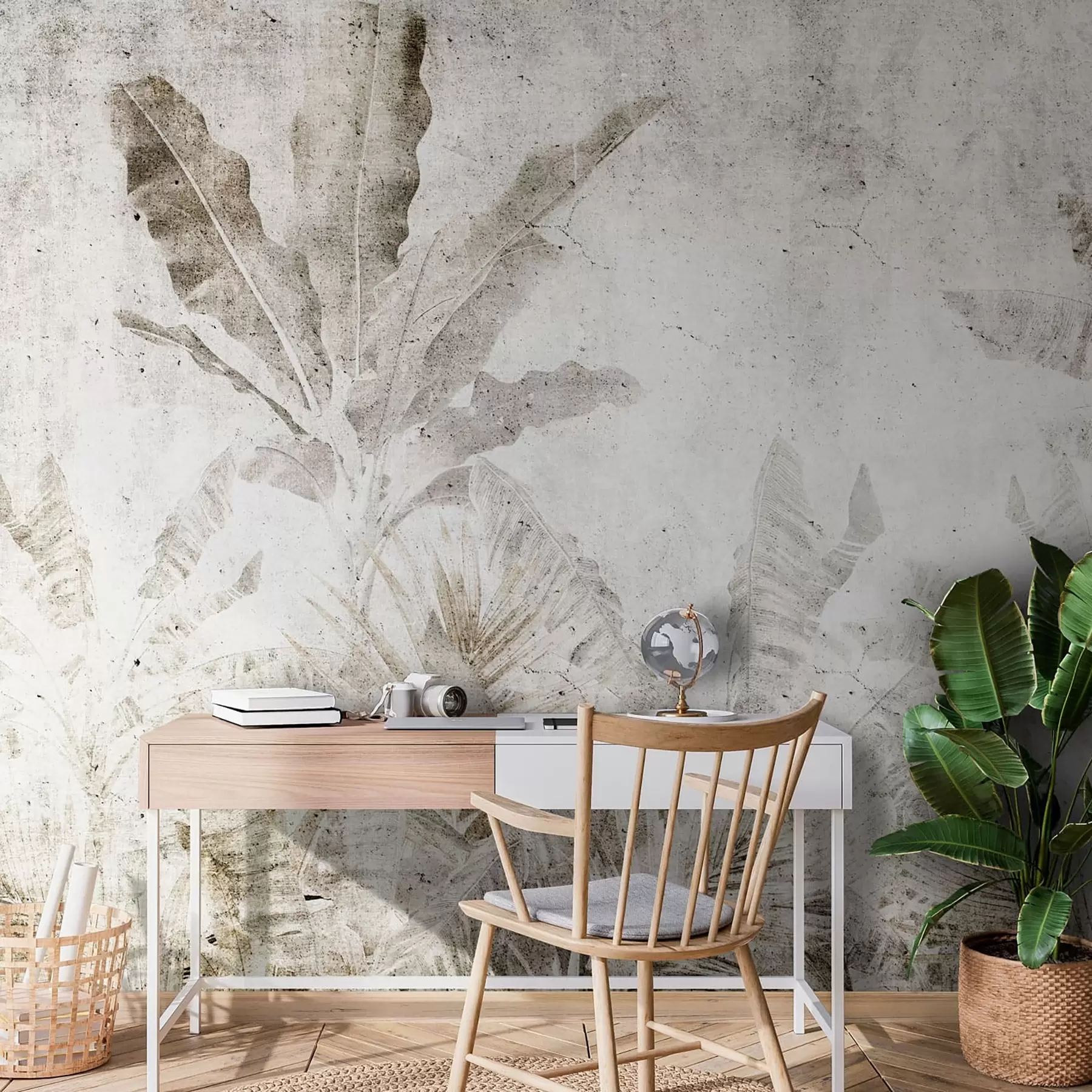 Papier peint Feuilles de bananier sur un mur de béton u73886