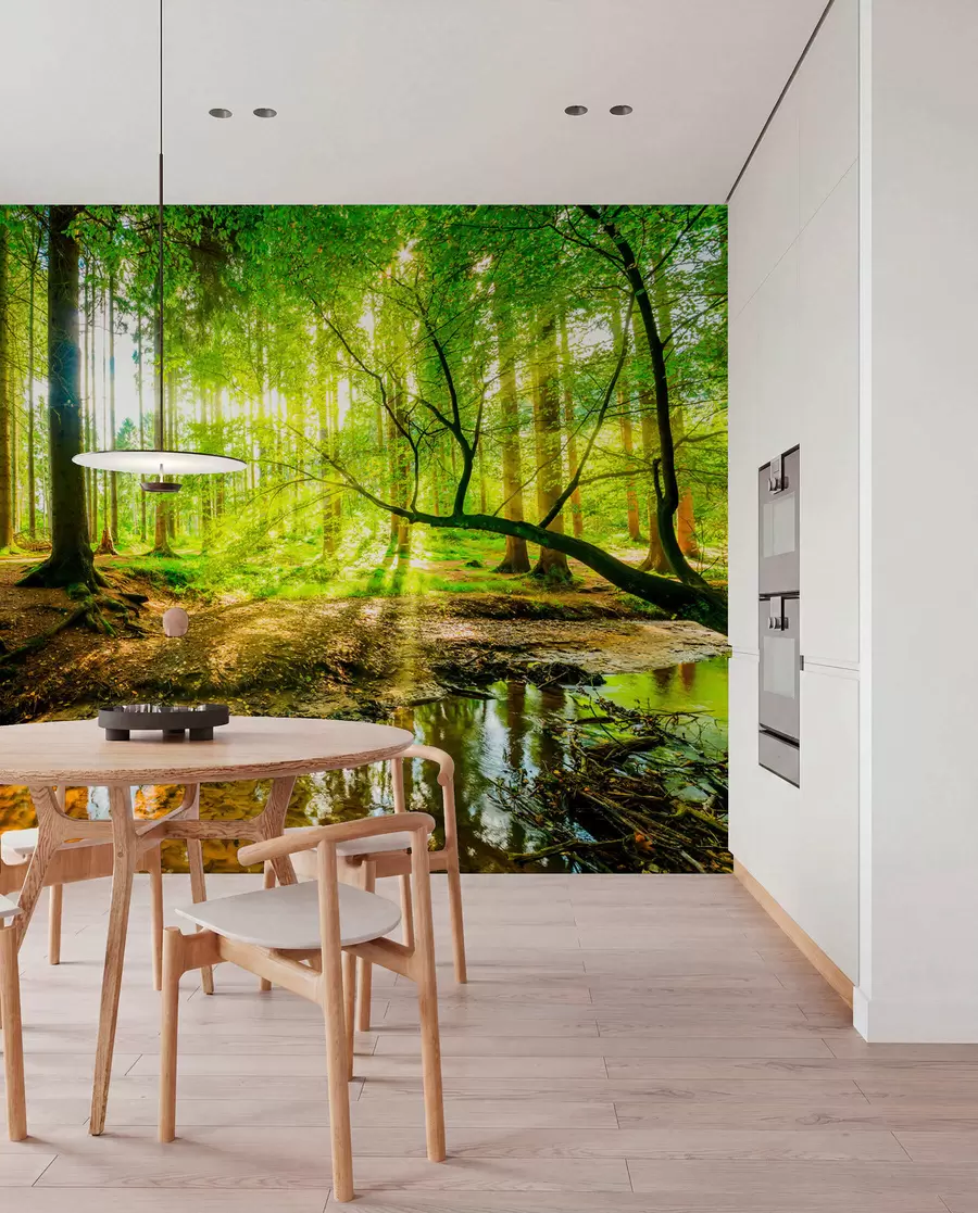 Papier peint Transparence du cours d'eau forestier u93621