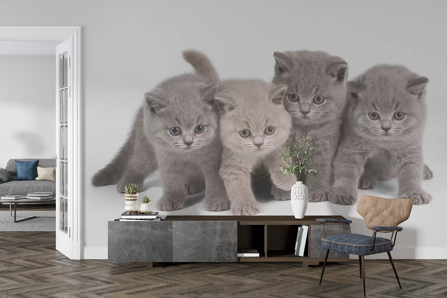 Papier peint Oeil, chat et carnivore u55076