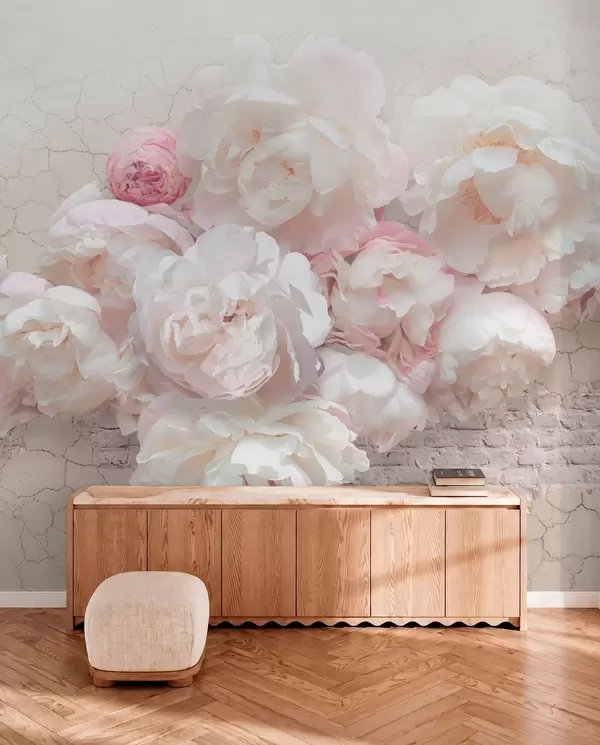 Pivoines