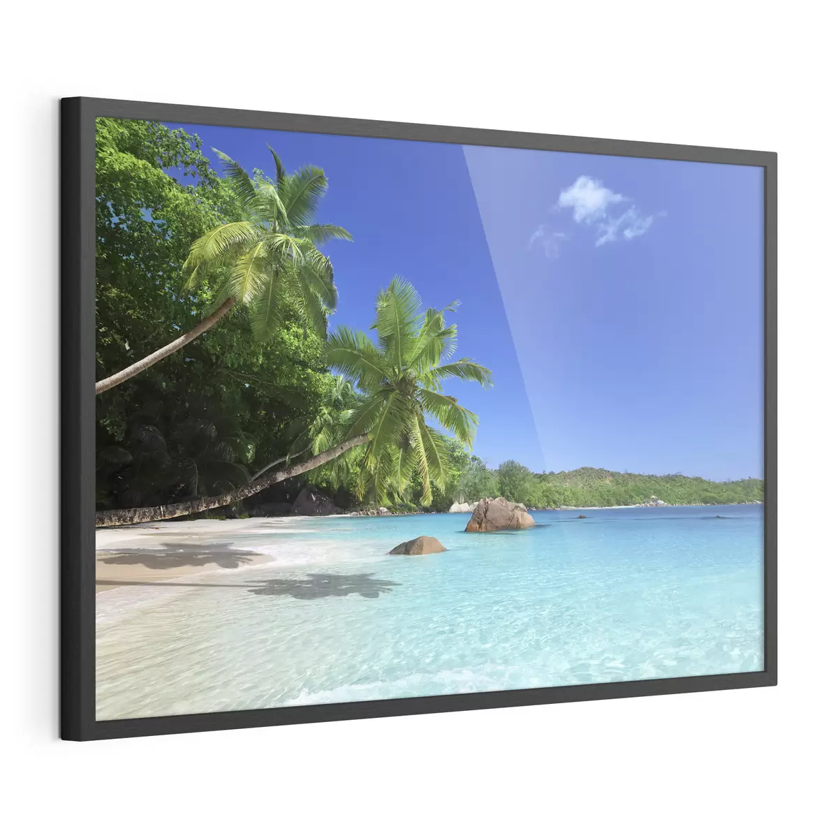 Poster Étreinte tropicale f00029