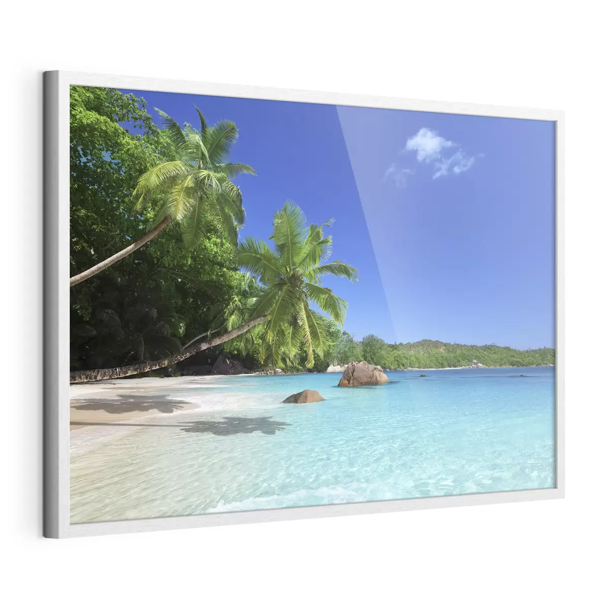 Poster Étreinte tropicale f00029