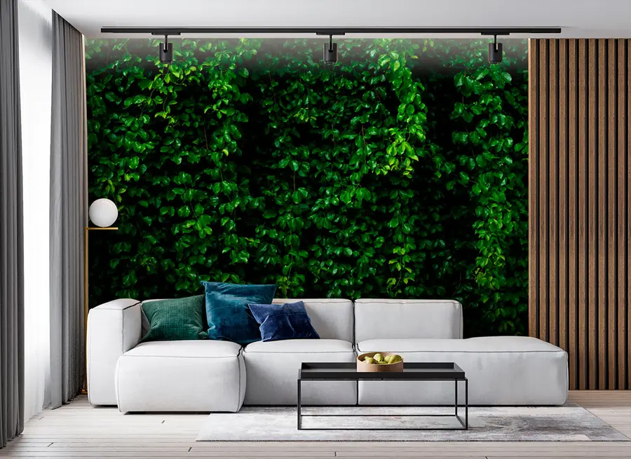 Papier peint feuille tropicale vert foncé u94381