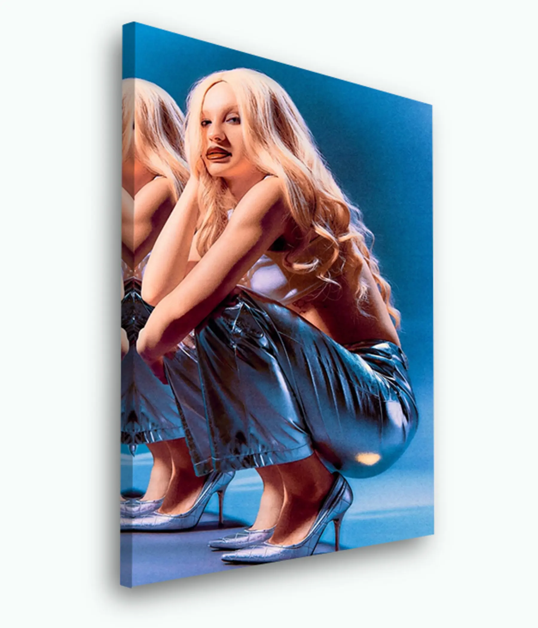 Tableau Acheter une toile photo s33363