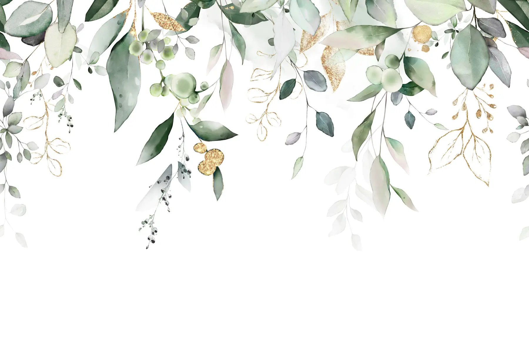 Papier peint Feuilles d'eucalyptus suspendues sur fond blanc u95506