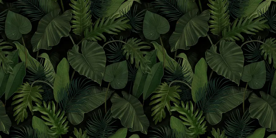Papier peint Modèle avec palmier vert tropical, taro, feuilles de bananier u95470