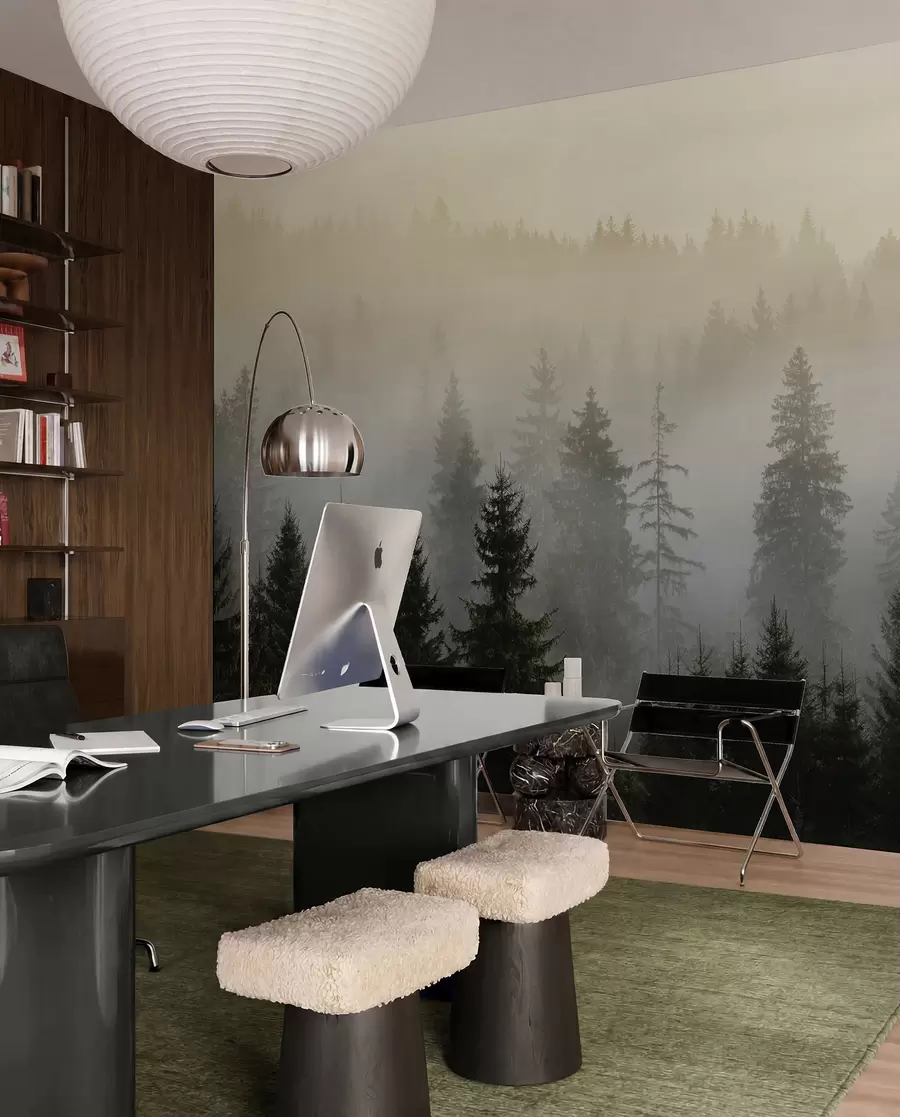 Papier peint Silhouette d'une épinette sombre entourée de brouillard u96999