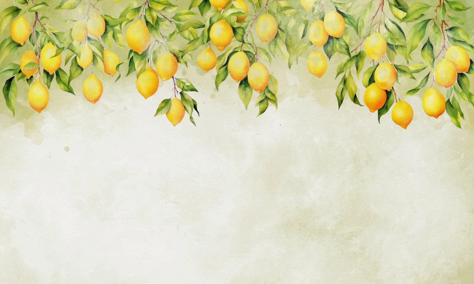 Papier peint Branches de citron tendres u97595