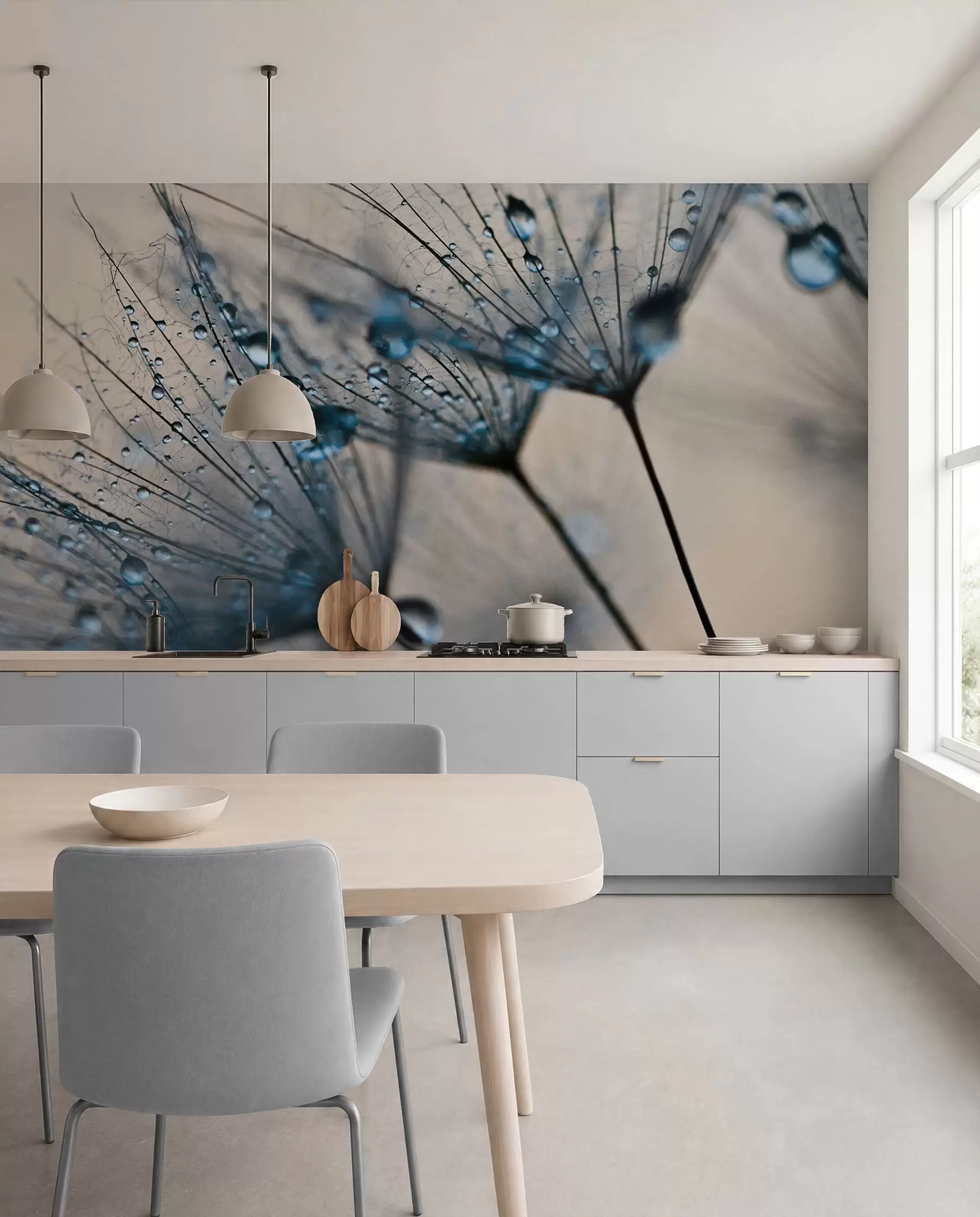 Papier peint Pissenlits avec gouttes d'eau bleues u57557v1