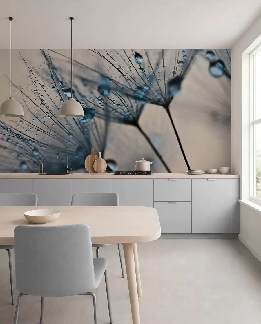 Papier peint Pissenlits avec gouttes d'eau bleues u57557v1