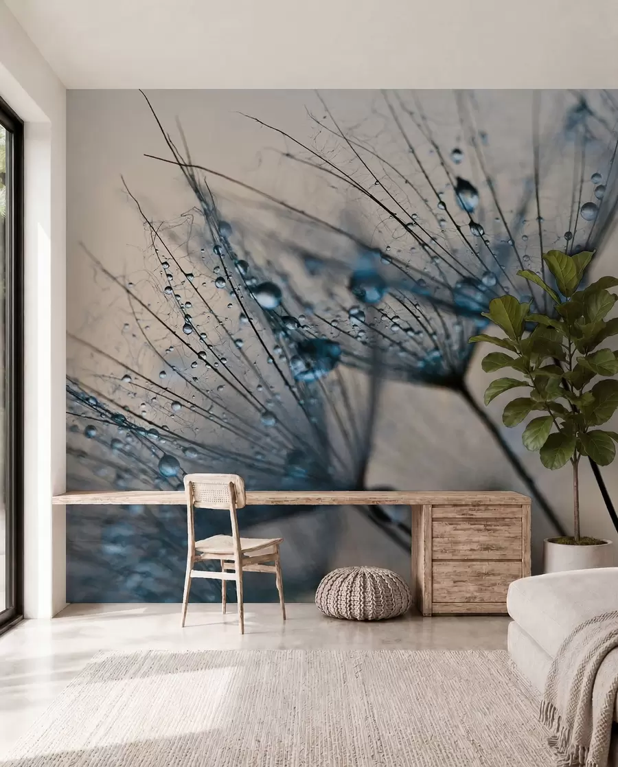 Papier peint Pissenlits avec gouttes d'eau bleues u57557v1