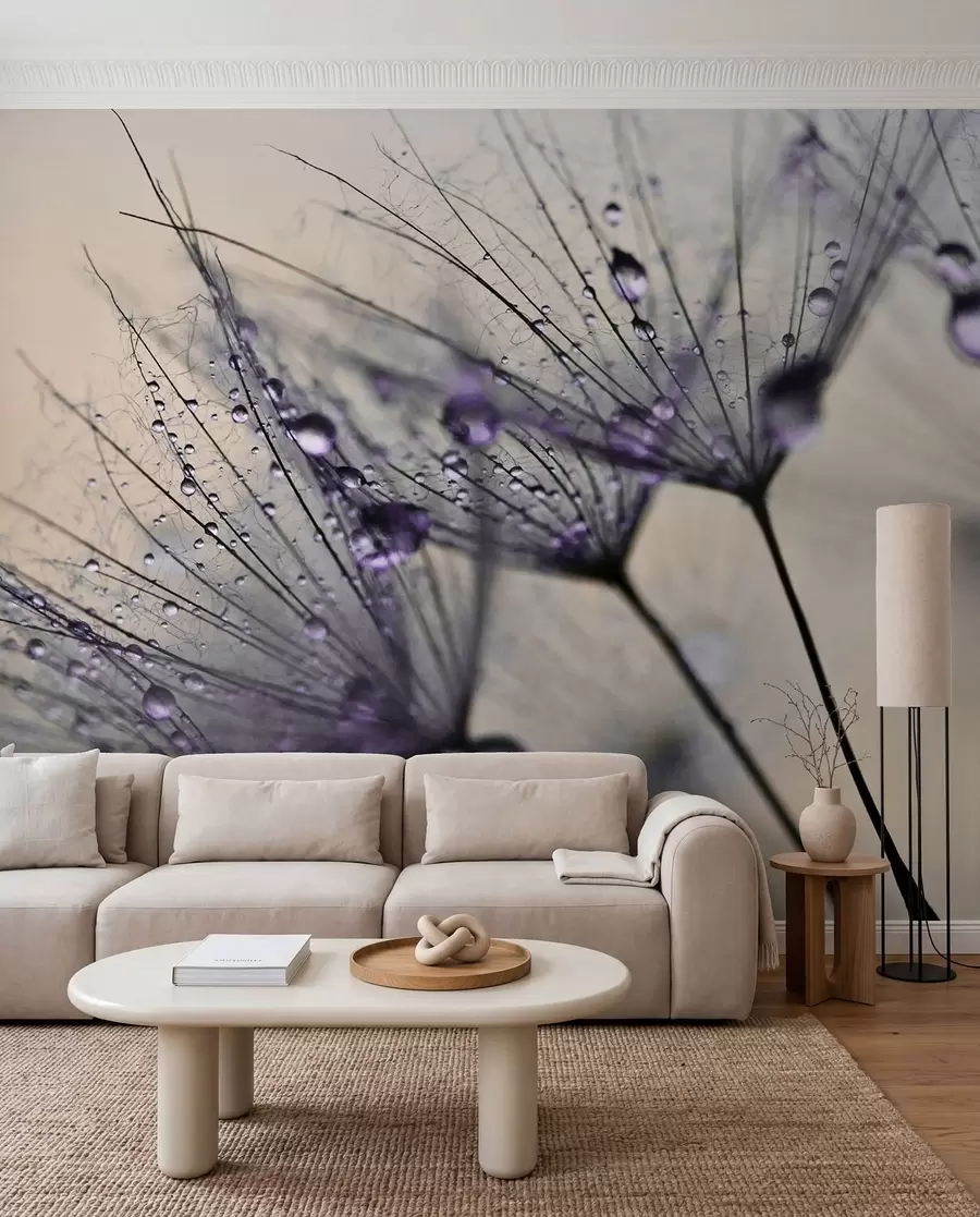 Papier peint Rosée de pissenlit violette u57557v3