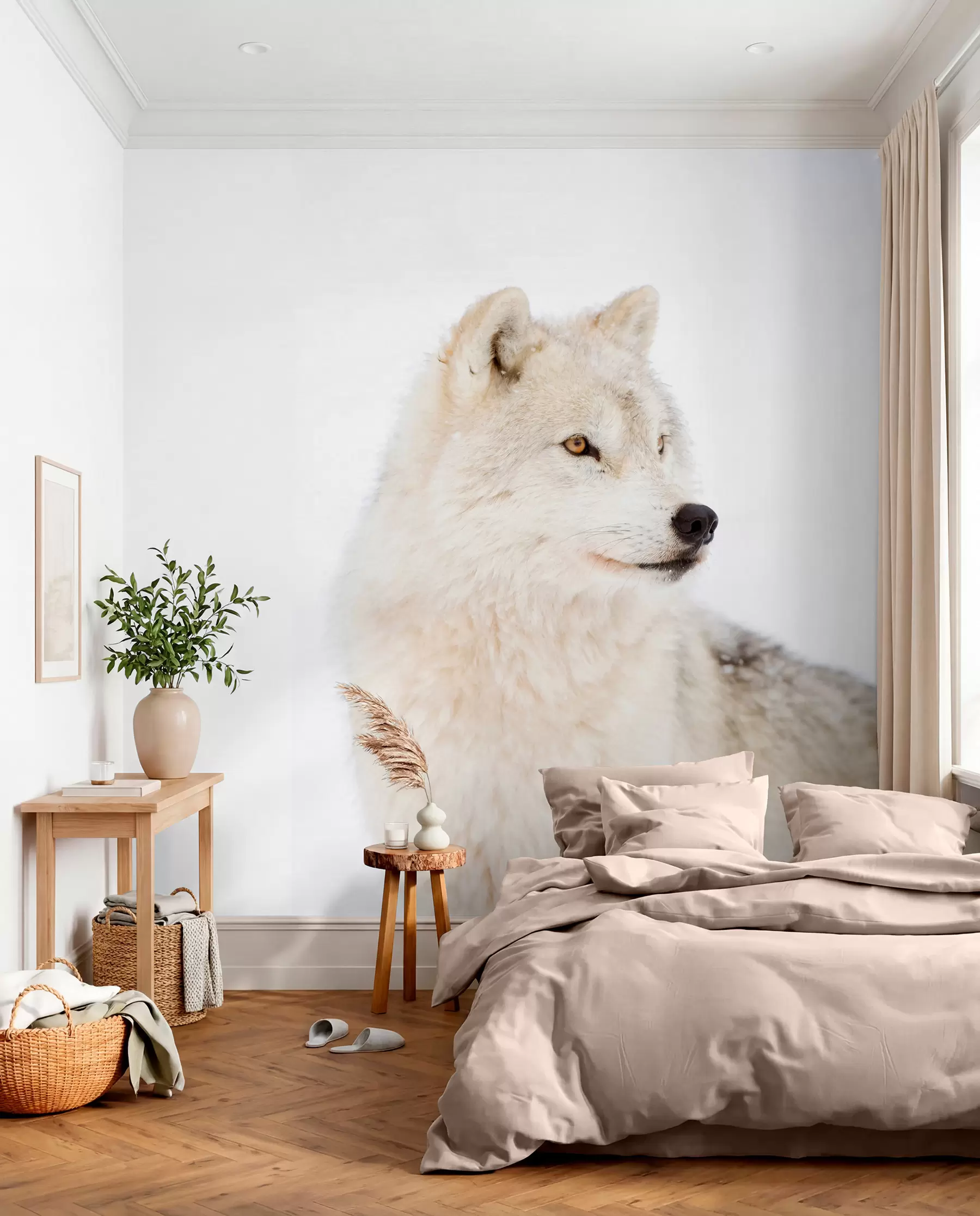 Papier peint Loup arctique sur fond blanc u98189