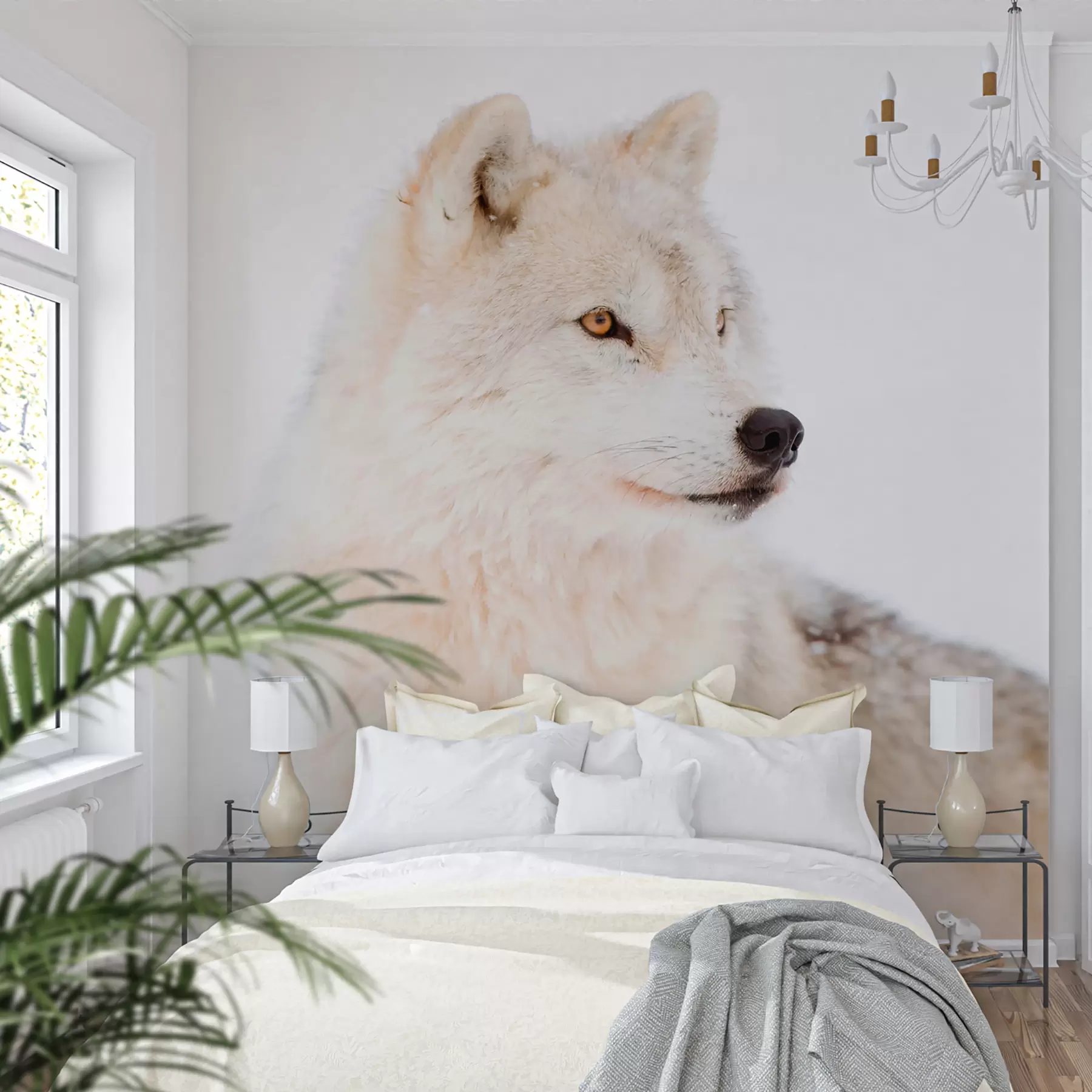 Papier peint Loup arctique sur fond blanc u98189