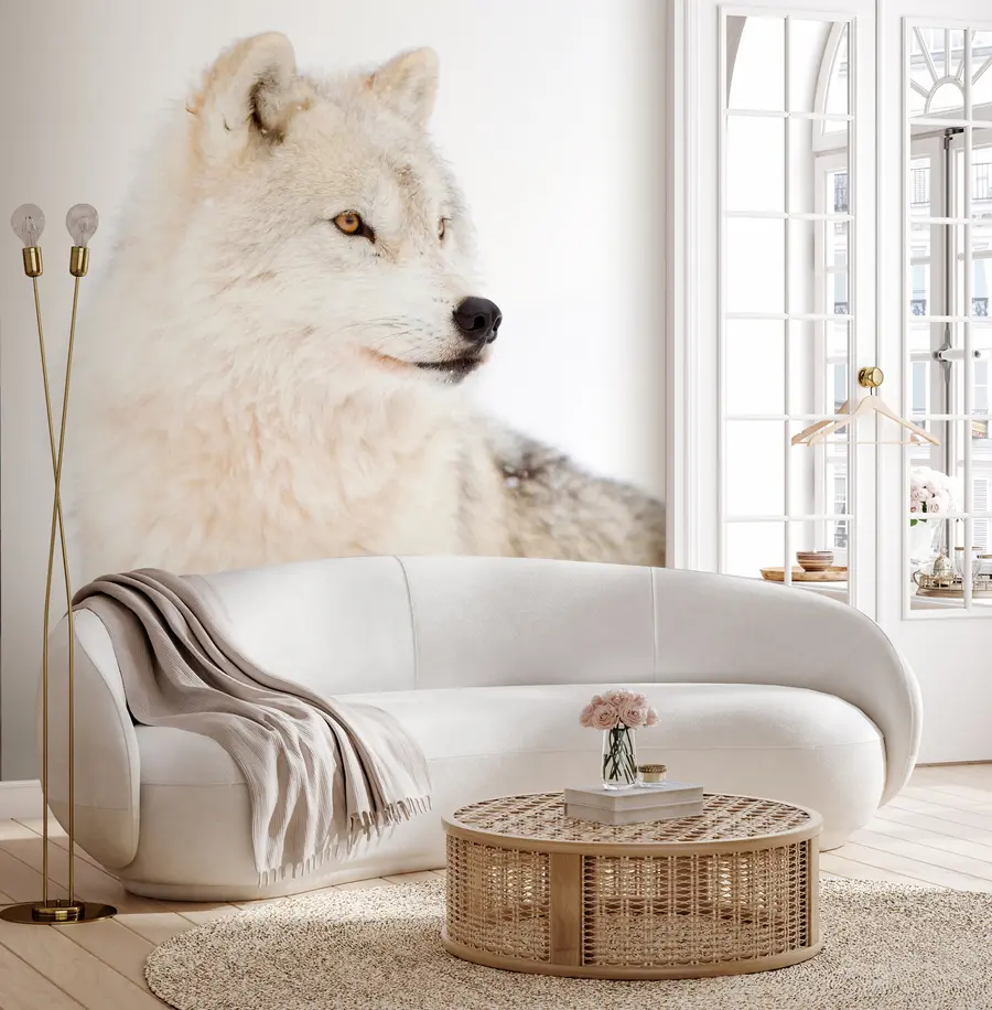 Papier peint Loup arctique sur fond blanc u98189