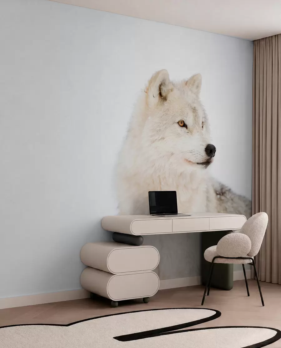 Papier peint Loup arctique sur fond blanc u98189