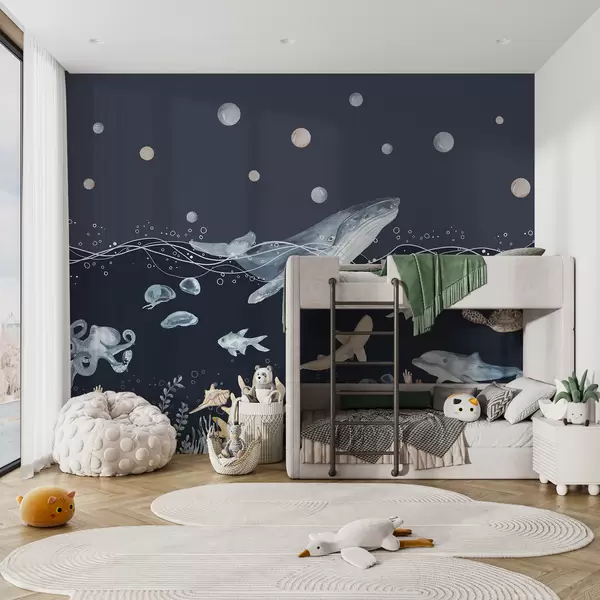 Dernières créations