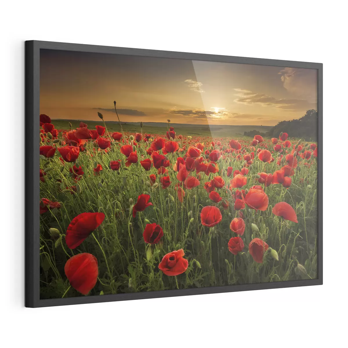 Poster Fleurs et étreinte f05477
