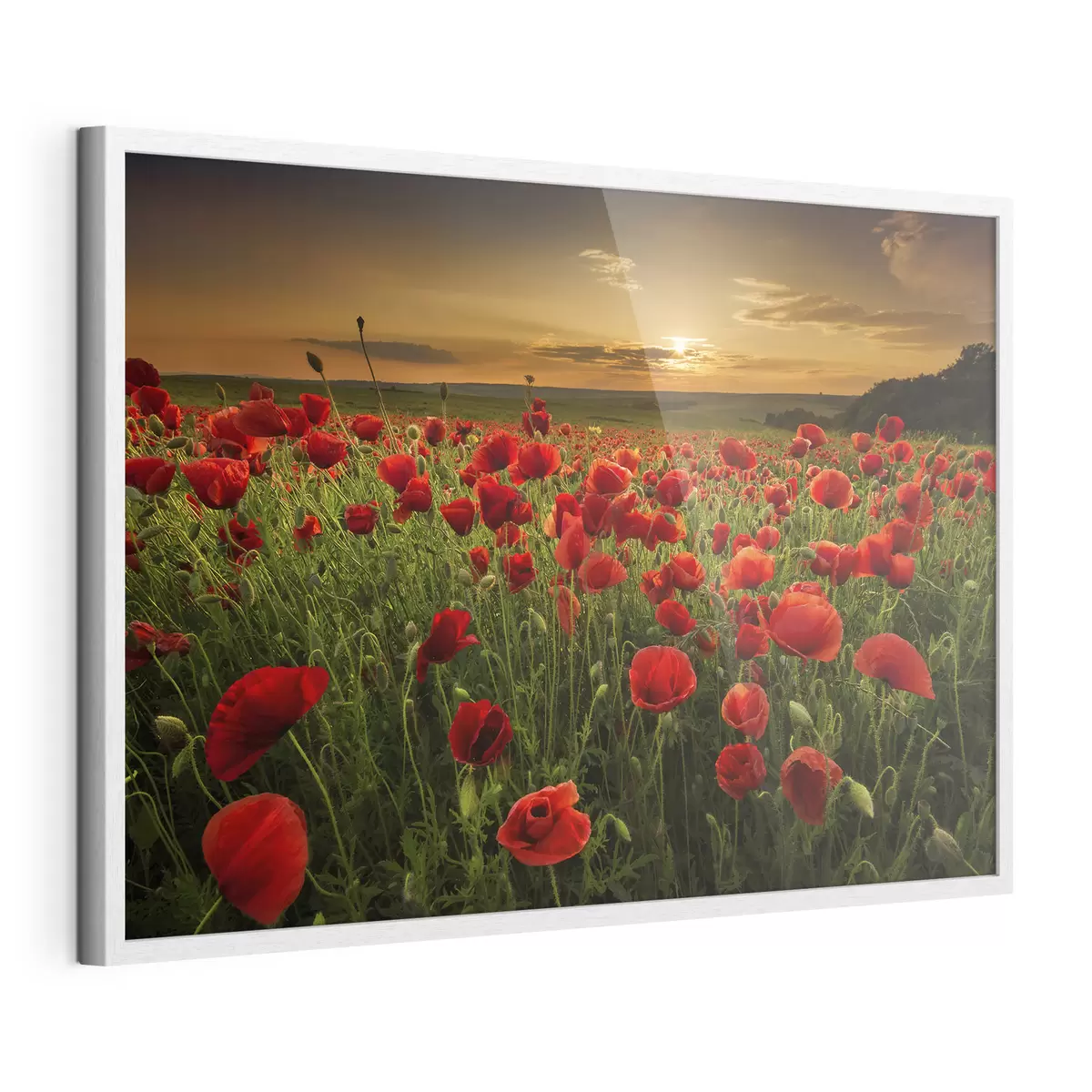 Poster Fleurs et étreinte f05477