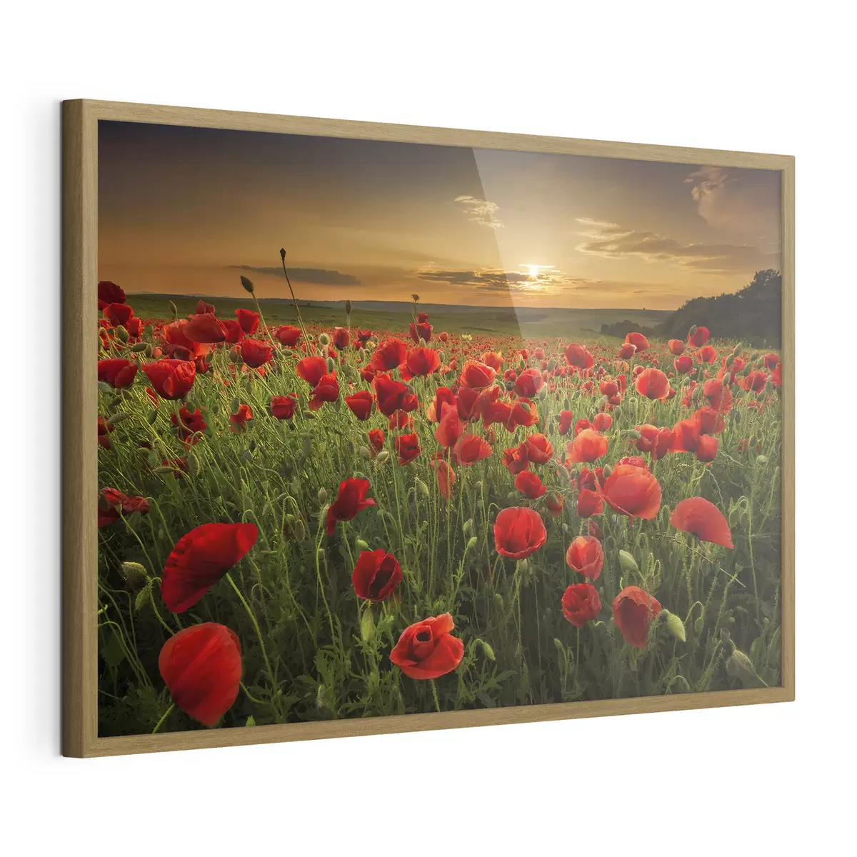 Poster Fleurs et étreinte f05477