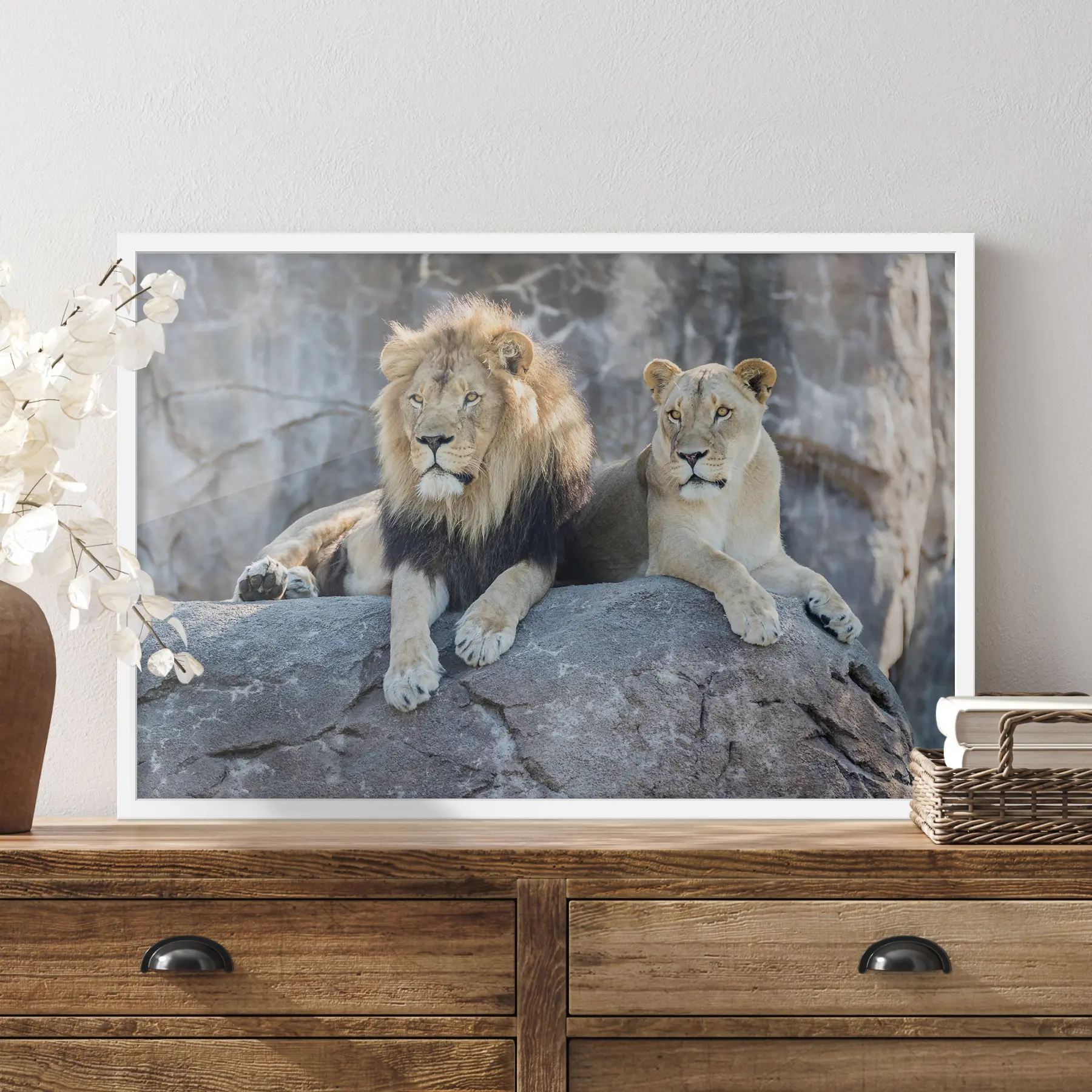 Papier peint Lion, chat et carnivore f15278