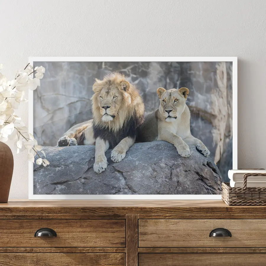 Papier peint Lion et confiance f15278