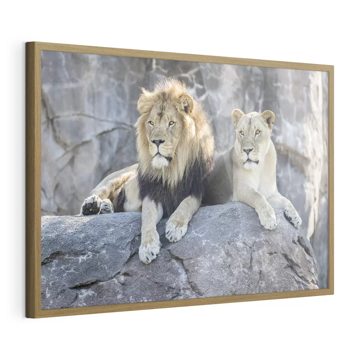 Poster Lion et confiance f15278
