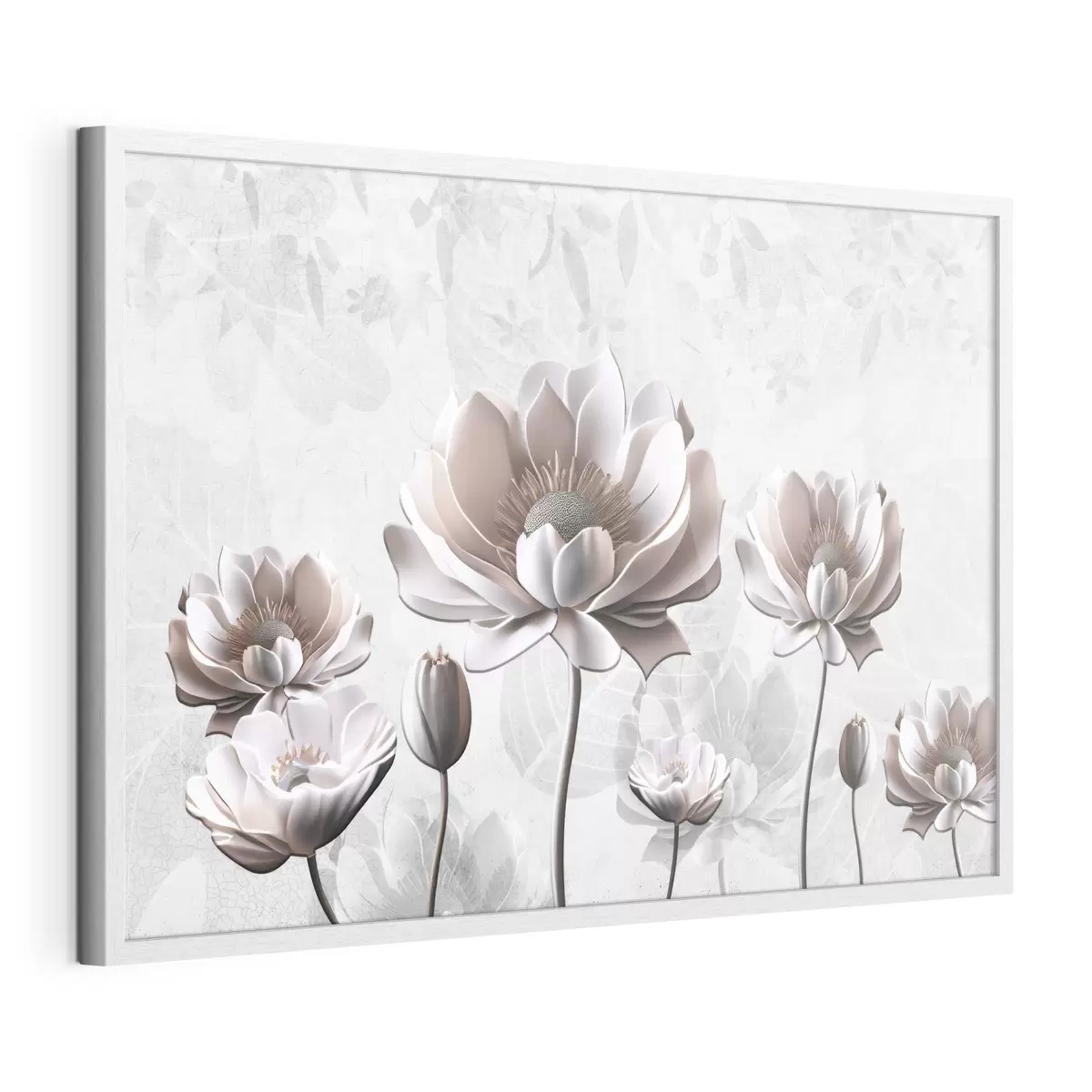 Poster Fleurs blanches sur fond blanc f35736